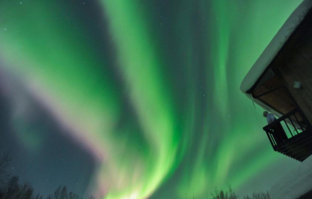 Alaska Grizzly Lodge Fairbanks Exterior photo
